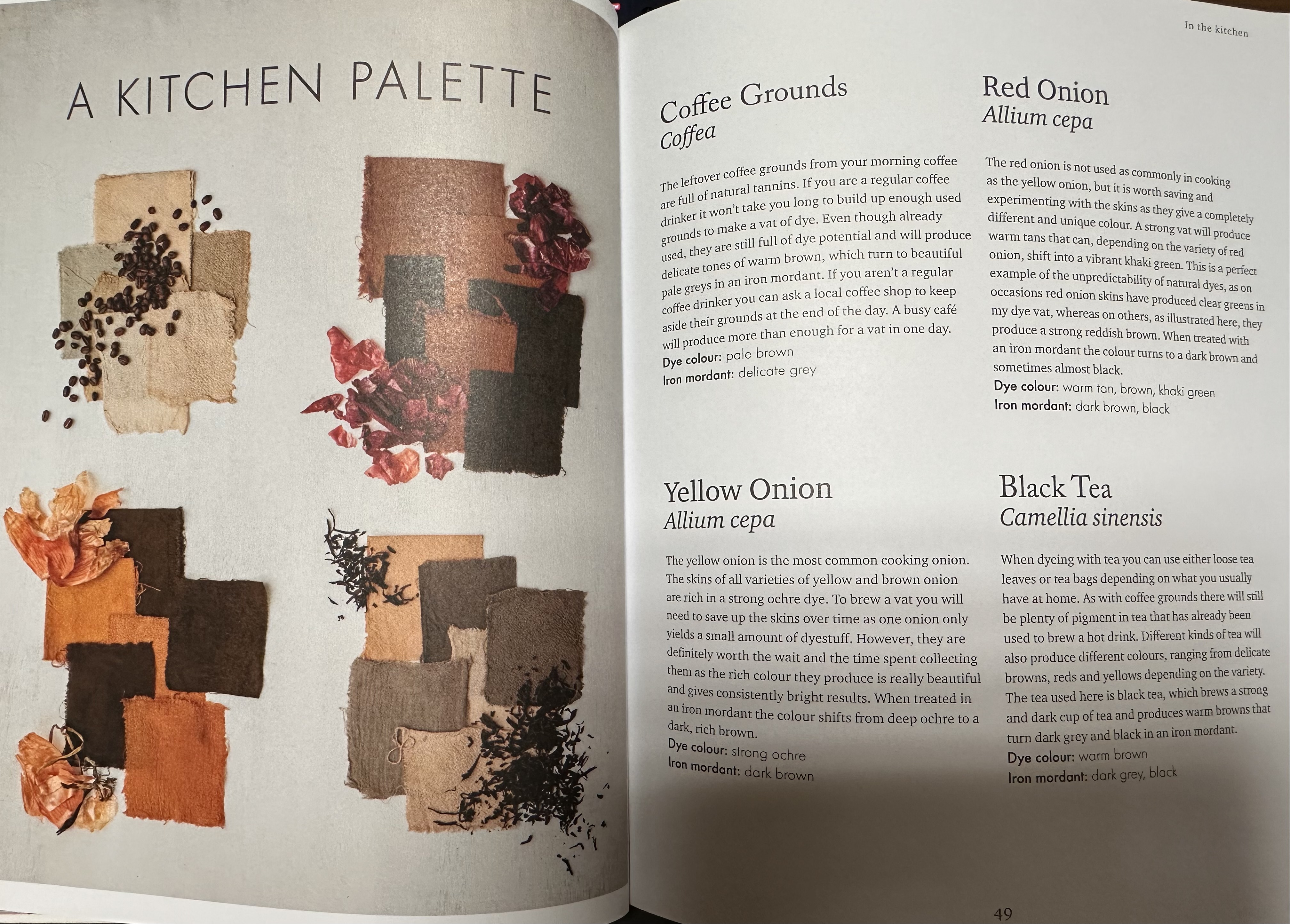 A photo of two pages from inside the book 'The Wild Dyer'. The pages show swatches of fabric dyed in several shades of brown.